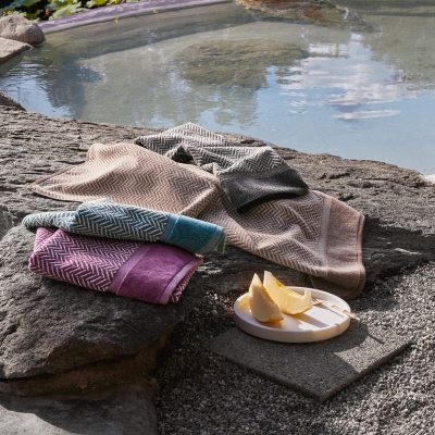 Coppia spugna asciugamano+ospite Fazzini CHEVRON